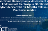 TCT 369: Functional Hemodynamic Assessment of a Novel Endoluminal Fibrillated Polymeric Scaffold up to Full Resorption Within 12 Months in a Preclinical In-Vivo Setting