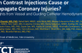 TCT 993: Can Contrast Injections Cause or Propagate Coronary Injuries?: Insights From Vessel and Guiding Catheter Hemodynamics