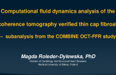 TCT 1007: Computational Fluid Dynamics Analysis of the Optical Coherence Tomography Verified Thin Cap Fibroatheroma: Subanalysis From the COMBINE OCT-FFR Study