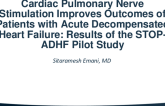 Cardiac Pulmonary Nerve Stimulation Improves Outcomes of Patients with Acute Decompensated Heart Failure: Results of the STOP-ADHF Pilot Study