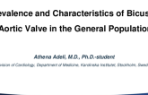 TCT 692: Prevalence and Characteristics of Bicuspid Aortic Valve in the General Population