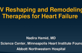 LV Reshaping and Remodeling Therapies for Heart Failure