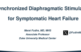 Diaphragmatic Stimulation - Viscardia