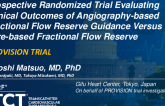 Prospective Randomized Trial Evaluating Clinical Outcomes of Angiography-Based Fractional Flow Reserve Guidance Versus Wire-Based Fractional Flow Reserve Guidance: The PROVISION Trial