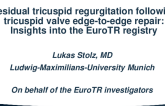 Residual Tricuspid Regurgitation After Transcatheter Tricuspid Valve Edge-to-Edge Repair: Insights Into the Eurotr Registry