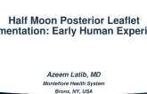 Early Human Experience With a Novel Posterior Leaflet Augmentation Device (Half Moon)