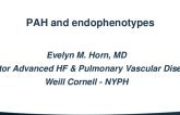 Reclassification of PH Based with New Endo-Phenotypes