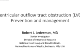LVOT Obstruction Prevention and Management