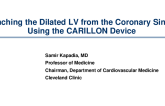 Cinching the Dilated LV from the Coronary Sinus: the Carillon Approach