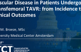 TCT 911: Vascular Disease in Patients Undergoing Transfemoral Transcatheter Aortic Valve Replacement: From Incidence to Clinical Outcomes