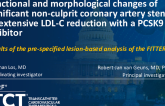 Changes in Plaque Volume and Plaque Composition After 12 Weeks of Extensive LDL-C Reduction With PCSK9 Inhibitors in ACS Patients With Multivessel Disease