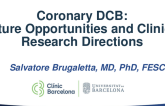 Coronary DCB: Future Opportunities and Clinical Research Directions