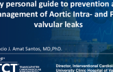 My Personal Guide to Prevention and Management of Aortic Intra- and Perivalular Leaks?