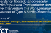 TCT 1484: Emergency Thoracic Endovascular Aortic Repair and Transcatheter Aortic Valve Intervention in a Nonagenarian for Treatment of Type A Aortic Dissection