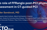 The Role of FFRangio Post-PCI Physiology Assessment in CT-Guided PCI