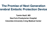 The Promise of Next Generation Cerebral Embolic Protection Devices