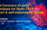 TCT 573: Novel coronary access techniques for TAV-in-TAV with balloon and self-expandable valves