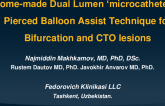 Home-made Dual Lumen ‘microcatheter’ – Pierced Balloon Assist Technique for Bifurcation and CTO lesions