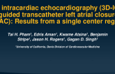 3D Intracardiac Echocardiography (3D-ICE) Guided Transcatheter Left Atrial Closure (LAAC): Results From a Single Center Registry