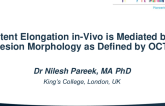 TCT 220: Stent Elongation in-Vivo is Mediated by Lesion Morphology as Defined by OCT.