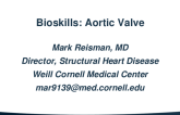 Bioskills Aortic