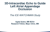 TCT 709: 3D-Intracardiac Echo to Guide Left Atrial Appendage Occlusion: The ICE-WATCHMAN Study 