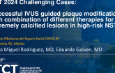 TCT 1415: Successful IVUS Guided Plaque Modification With Combination of Different Therapies for Extremely Calcified Lesions in High-Risk NSTEMI