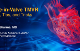 Step-by-step on How to Do a Mitral Valve-In-Valve TMVR: Tips and Tricks