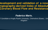 TCT 333: Development and Validation of a Novel Angiography-Derived Index of Absolute Coronary Blood Flow and Resistance