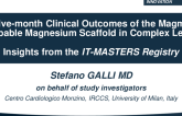 Twelve-Month Clinical Outcomes of the Magmaris Resorbable Magnesium Scaffold in Complex Lesions: Insights From the IT-MASTERS Registry