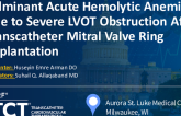 TCT 1358: Fulminant Acute Hemolytic Anemia Due to Severe LVOT Obstruction After Transcatheter Mitral Valve Ring Implantation