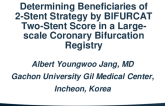TCT 328: Determining Beneficiaries of 2-Stent Strategy by BIFURCAT Two-Stent Score in a Large-scale Coronary Bifurcation Registry