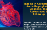 Case Presentation: Imaging in Asymptomatic AR – Diagnosis, Risk Assessment, and Follow-up