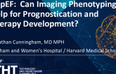 HFpEF: Can Image Phenotyping Help for Prognostication and Therapy DEevelopment