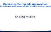 Optimizing Retrograde Approaches: Effective Wire Advancement and Microcatheter Torque Strategies