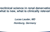 Preclinical Science In Renal Denervation – What Is New, What Is Clinically Relevant?