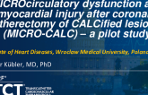 TCT 393: MICROcirculatory Dysfunction and Myocardial Injury After Coronary Atherectomy of Calccified Lesions (MICRO-CALC): A Pilot Study