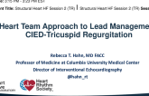 A Heart Team Approach to Management of TR in Patients With Cardiac Implantable Electronic Device Leads (CEIDs)