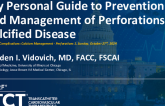 My Personal Guide to Prevention and Management of Perforations in Calcified Disease