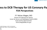 Access to DCB Therapy for US Coronary Patients: FDA Perspective