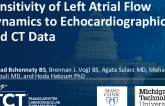 TCT 548: Sensitivity of Left Atrial Flow Dynamics to Echocardiographic and CT Data