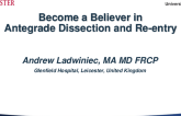 Become a Believer in Antegrade Dissection and Reentry
