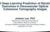 TCT 727: 3D Deep Learning Prediction of Stenting Outcomes in Intravascular Optical Coherence Tomography Images