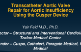 Transcatheter Aortic Valve Repair for Aortic Insufficiency Using the Cusper Device