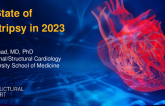 The State of Lithotripsy in 2023