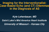 Imaging for the Interventionalist: Case-Based Echo (and CT) Dilemmas in the Diagnosis of AS