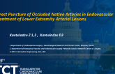 TCT 701: Direct Puncture of Occluded Native Arteries in Endovascular Treatment of Lower Extremity Arterial Lesions