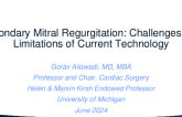 Secondary Mitral Regurgitation: Challenges and Limitations of Current Technology