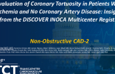 TCT 671: Evaluation of Coronary Tortuosity in Patients With Ischemia and No Coronary Artery Disease: Insights From the DISCOVER INOCA Multicenter Registry