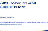 The 2024 'Toolbox' for Leaflet Modification in TAVR